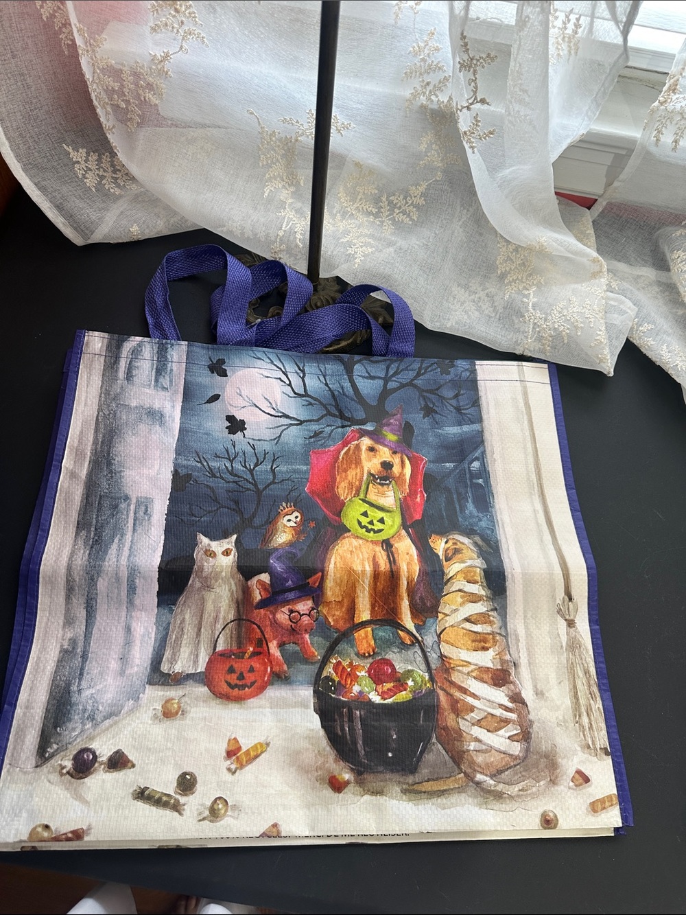 T.j.Maxx Halloween tote bag